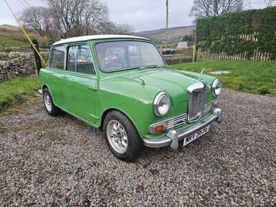 Riley Elf classic mini mot and tax exempt