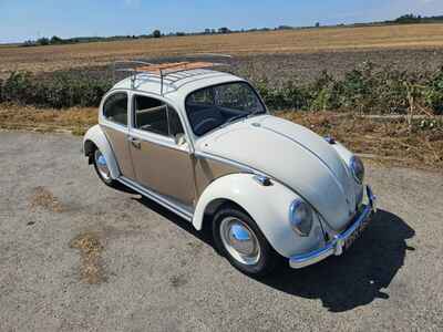 STUNNING FULLY RESTORED 1965 VW BEETLE 1200 RHD STOCK HEIGHT SUPERB EXAMPLE