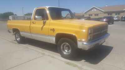 1982 Chevrolet C-10