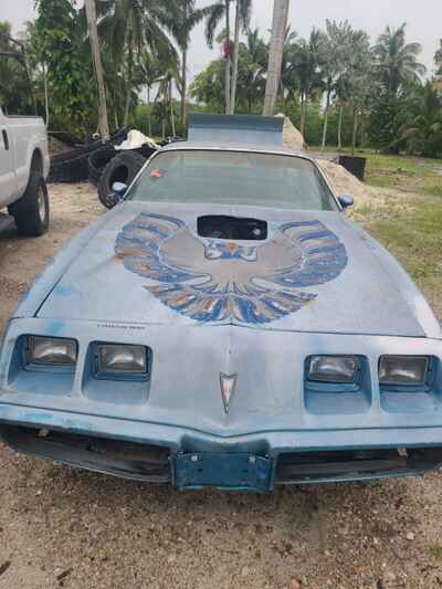 1980 Pontiac Trans Am trans am