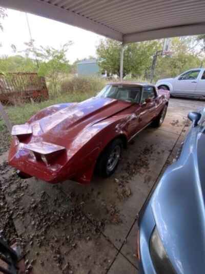 1979 Chevrolet Corvette corvette