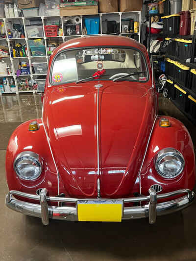 1967 Volkswagen Beetle - Classic