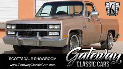 1981 Chevrolet Silverado 1500 C10