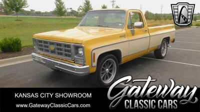 1979 Chevrolet C-10 Scottsdale