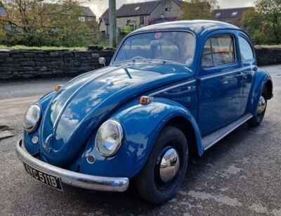 1964 Classic VW Beetle