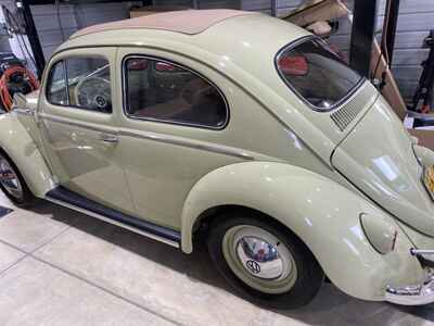 1959 Volkswagen Beetle - Classic