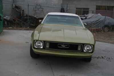 1973 Ford Mustang