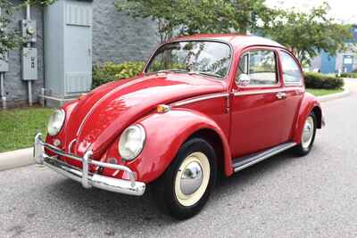 1965 Volkswagen Beetle - Classic | RESTORED | 1200cc | 100+ HD Pictures