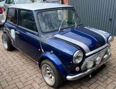 1991 Classic Mini Project