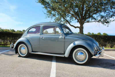 1954 Volkswagen Beetle - Classic