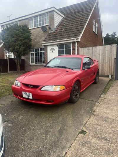 Ford Mustang Sn95 5 0 V8