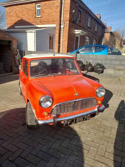 1968 classic mini