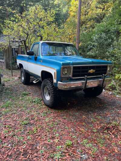 1977 Chevrolet 1 / 2 Ton Pickup