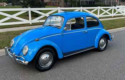 1965 Volkswagen Beetle - Classic