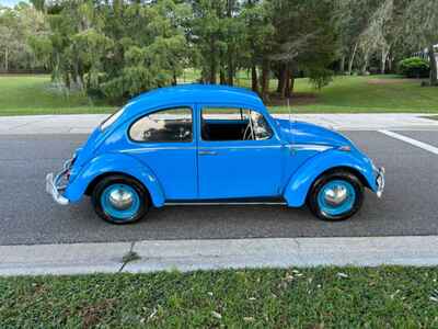 1965 Volkswagen Beetle - Classic