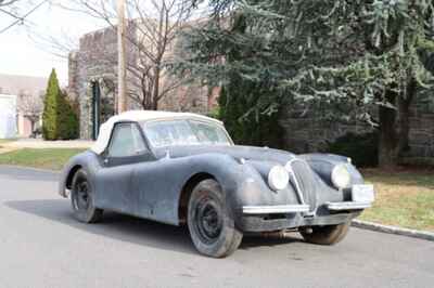 1954 Jaguar XK