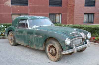 1965 Austin Healey 3000