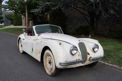 1954 Jaguar XK