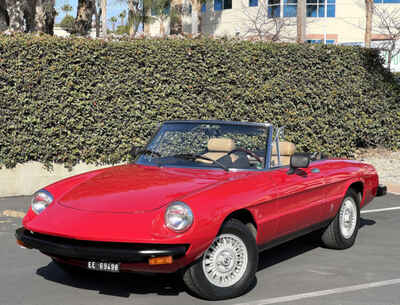 1979 Alfa Romeo Spider