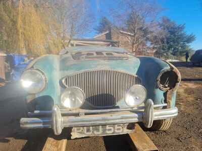 Austin Healey 100 / 4 BN1 1954