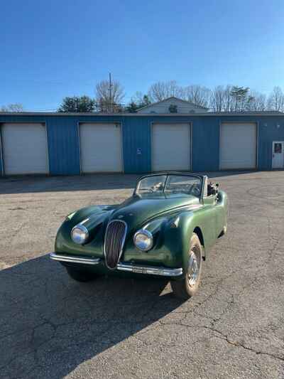 1953 Jaguar XK