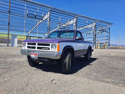 1988 Dodge Dakota