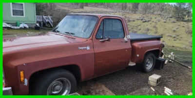 1976 Chevrolet C-10 Custom Wood Bed