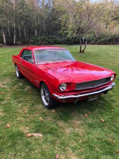 1966 Ford Mustang