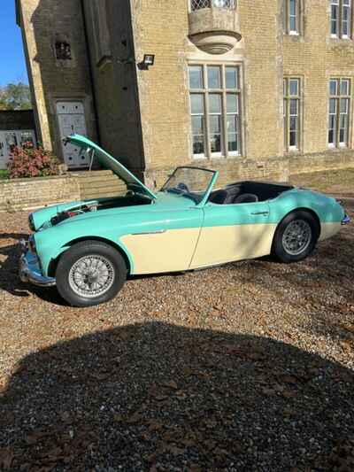 Austin Healey 3000 1957 100 / 6