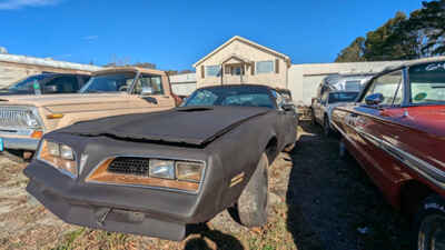 1977 Pontiac Trans Am coupe