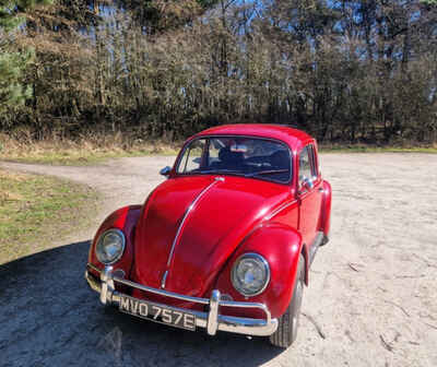 VW Beetle 1967