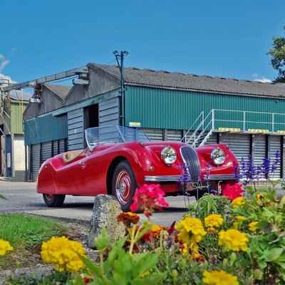 1953 Jaguar XK120 OTS RHD