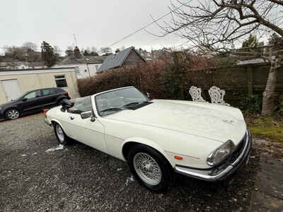 jaguar xjs convertible v12